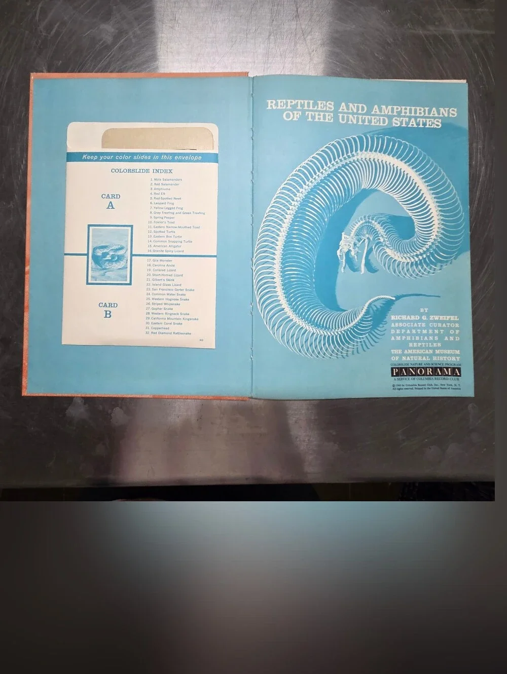Reptiles and Amphibians of the United States- Orange Field Guide, Slides & Vinyl